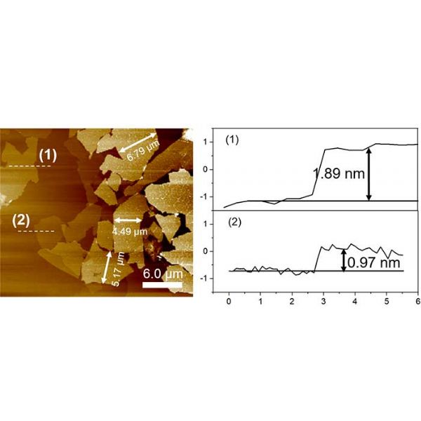 グラフェンスラリ-RSG-GW2 - RSG-GW2